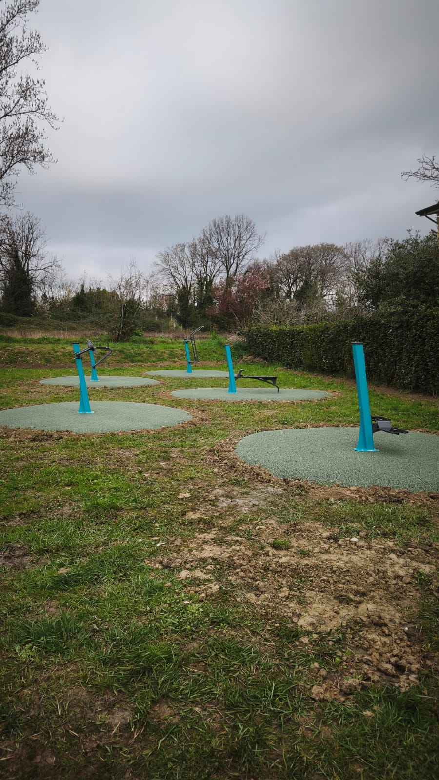 Olmo palestra nel verde