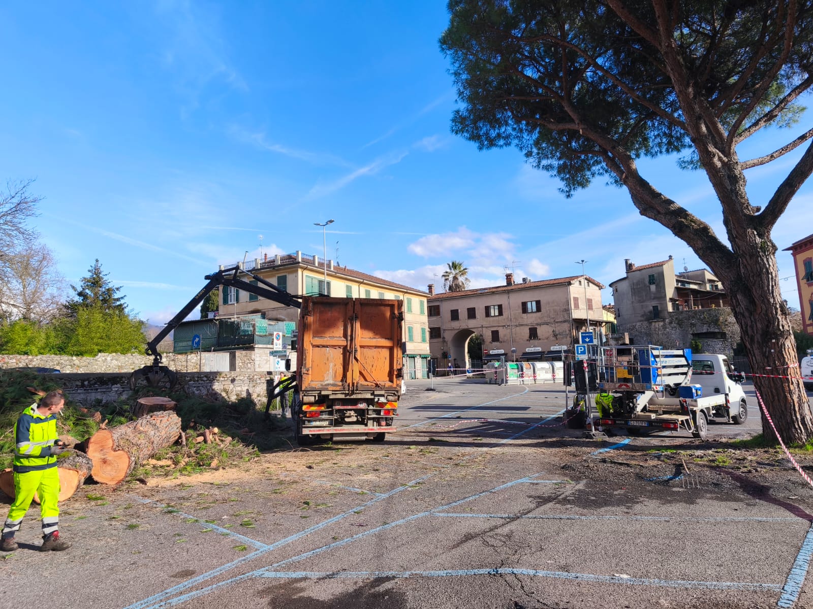 Parcheggio Porta Parma abbattimento alberi