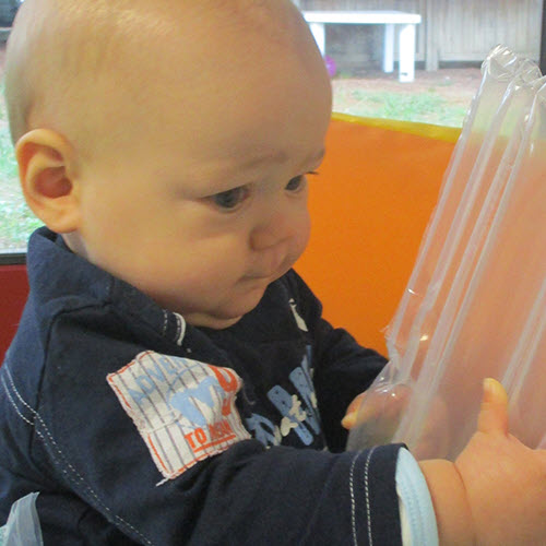 nido comunale tendola